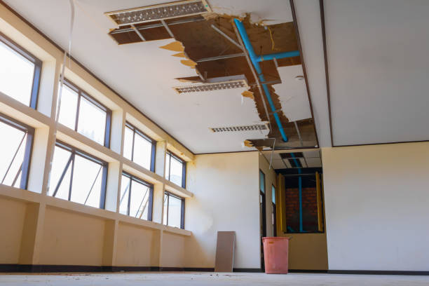 Best Water damage cleanup near me  in Chepachet, RI