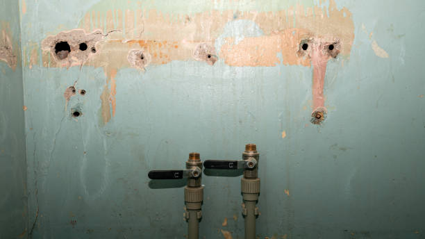 Best Flooded house restoration  in Chepachet, RI