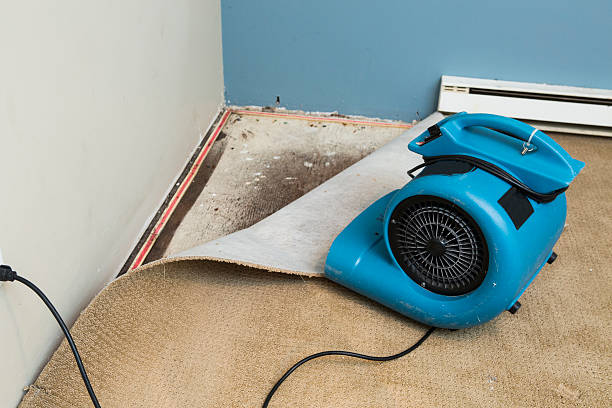 Best Basement water damage restoration  in Chepachet, RI